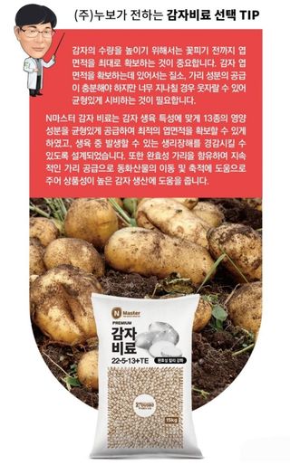 대산농사대장님의 감자 · 자유게시판 작성글 사진