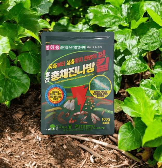 장터 상품 [농업마켓365 융전 총채진나방킬 수화제 100g 유기농업자재 병해충 친환경 총채벌레 나방벌레 진딧물 살충 비티균 ] 썸네일