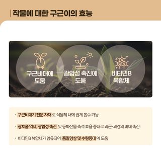 누보농장님의 자유주제 · 자유게시판 작성글 사진