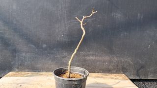 이정운님의 자유주제 · 자유게시판 작성글 사진