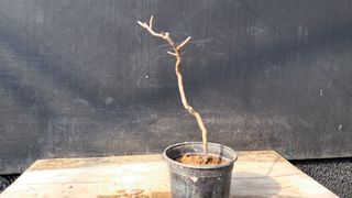 이정운님의 자유주제 · 자유게시판 작성글 사진