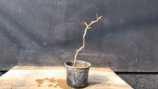 이정운님의 자유주제 · 자유게시판 작성글 사진