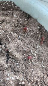 팜모닝 자유주제·자유게시판 게시글 이미지