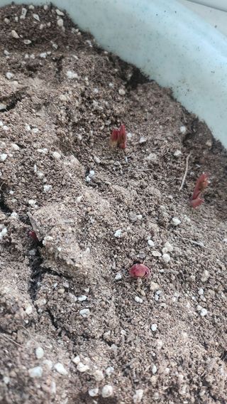 정미리님의 자유주제 · 자유게시판 작성글 사진