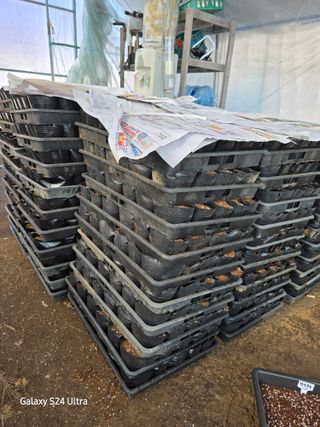 약초원 김종군님의 자유주제 · 자유게시판 작성글 사진