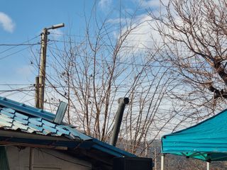 진여화 농원님의 자유주제 · 자유게시판 작성글 사진