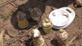 누보농장님의 자유주제 · 자유게시판 작성글 사진