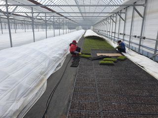 병풍취산채농원님의 자유주제 · 자유게시판 작성글 사진