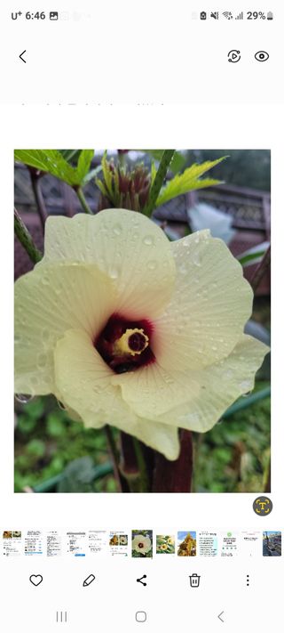 정찬영님의 작성글 사진