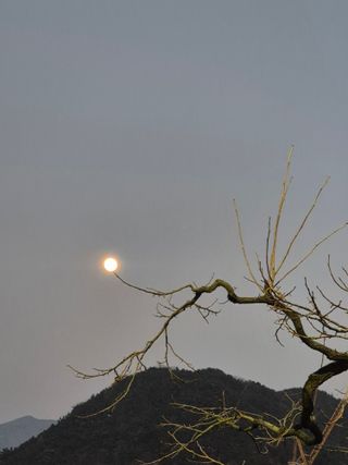 김상진님의 자유주제 · 자유게시판 작성글 사진