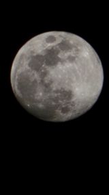 팜모닝 자유주제·자유게시판 게시글 이미지