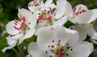 이정운님의 자유주제 · 자유게시판 작성글 사진