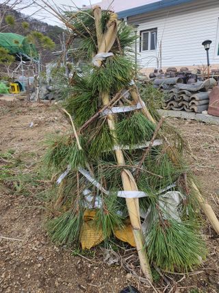 무상(無常)님의 정월대보름 음식 추천해요 · 참여글 작성글 사진