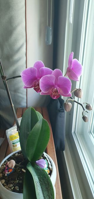 박두우님의 자유주제 · 자유게시판 작성글 사진