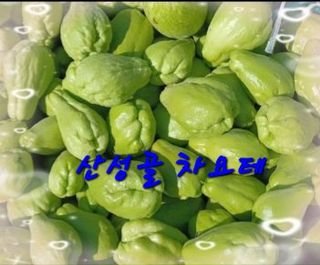 산성골농장님의 작성글 사진