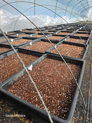 약초원 김종군님의 자유주제 · 자유게시판 작성글 사진