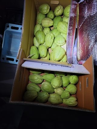 원빈님의 자유주제 · 자유게시판 작성글 사진