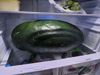 원빈님의 자유주제 · 자유게시판 작성글 사진