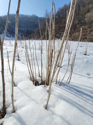 남효제님의 자유주제 · 자유게시판 작성글 사진