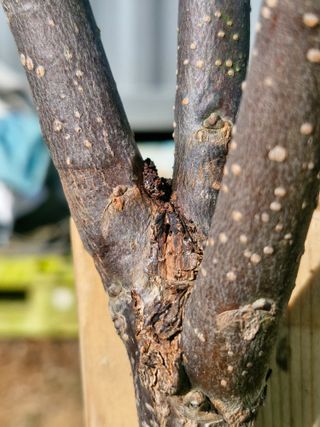 김 농부님의 자유주제 · 자유게시판 작성글 사진