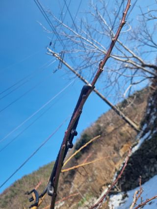 김용대님의 작성글 사진