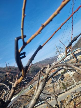 김용대님의 작성글 사진