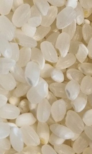 박사원농장님의 작성글 사진