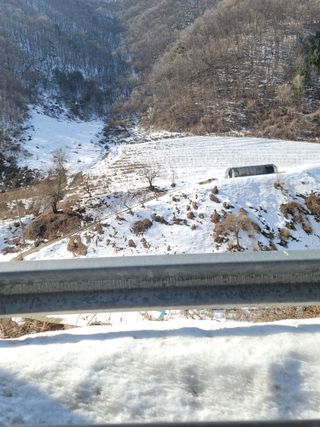 남효제님의 두릅 · 품종•종자 작성글 사진