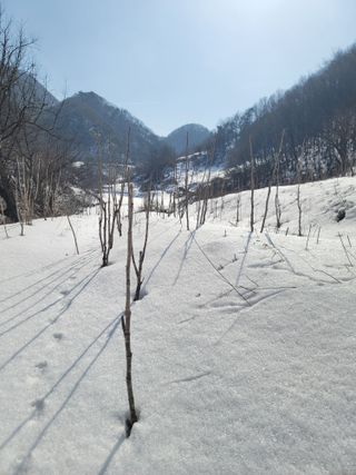 남효제님의 자유주제 · 자유게시판 작성글 사진