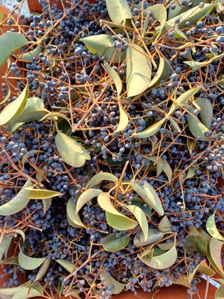 유영옥님의 자유주제 · 자유게시판 작성글 사진