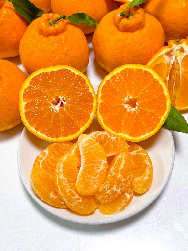 장터 상품 [[재주문 200%] 귤폭탄 과즙 발랄한 한라봉, 천혜향] 썸네일