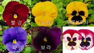 약초원 김종군님의 작성글 사진