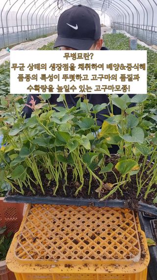 김동수님의 자유주제 · 자유게시판 작성글 사진