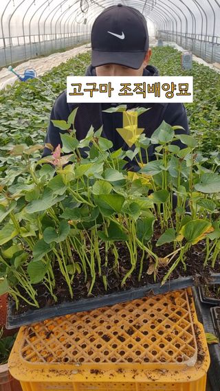 김동수님의 자유주제 · 자유게시판 작성글 사진