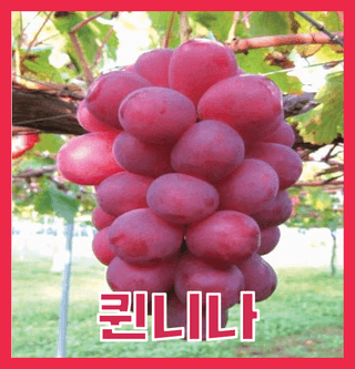오대원님의 자유주제 · 자유게시판 작성글 사진
