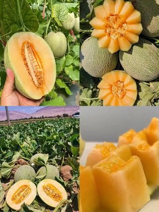 주주씨앗님의 자유주제 · 자유게시판 작성글 사진