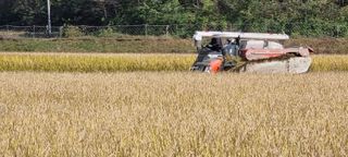 박사원농장님의 작성글 사진