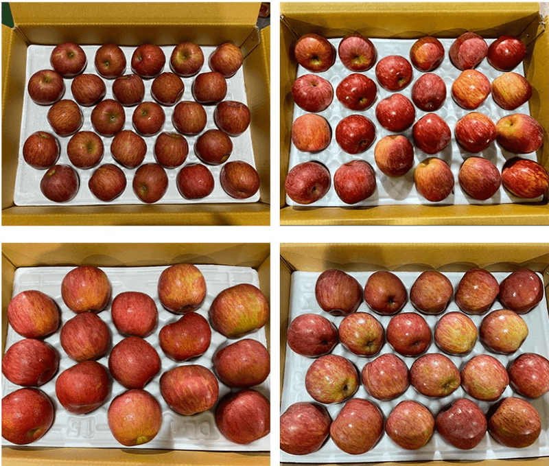 스피드번님의 장터 판매 상품 [경북 부사사과 (정품) (일반포장)] 첨부 사진