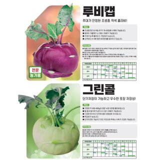 아시아종묘님의 자유주제 · 자유게시판 작성글 사진