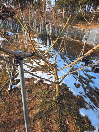 자연인님의 자유주제 · 자유게시판 작성글 사진