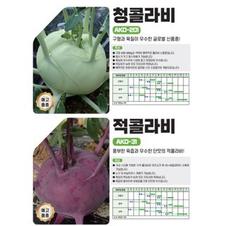 아시아종묘님의 자유주제 · 자유게시판 작성글 사진