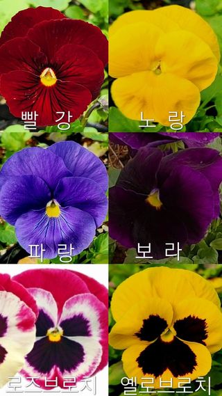 약초원 김종군님의 작성글 사진