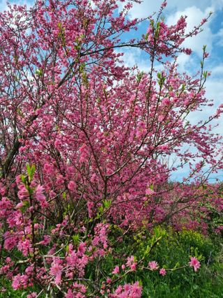 차재경님의 자유주제 · 자유게시판 작성글 사진