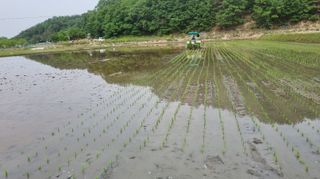 박사원농장님의 작성글 사진