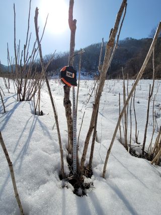 남효제님의 자유주제 · 자유게시판 작성글 사진