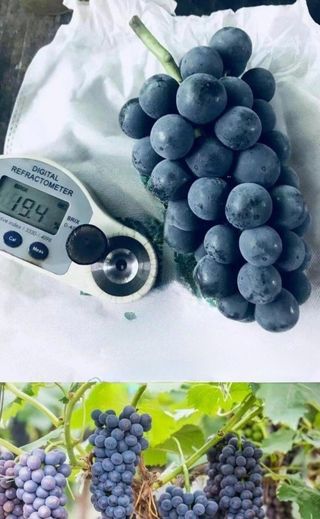 오대원님의 자유주제 · 자유게시판 작성글 사진