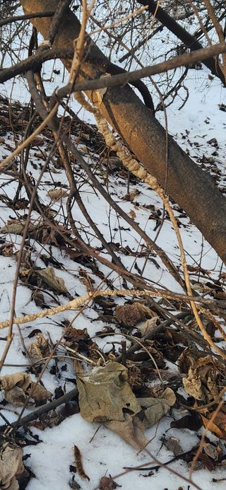 들깨님의 자유주제 · 자유게시판 작성글 사진