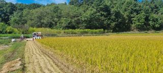 박사원농장님의 작성글 사진