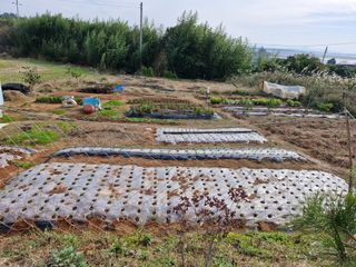 김 농부님의 작성글 사진