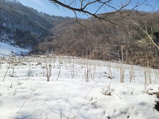 남효제님의 자유주제 · 자유게시판 작성글 사진